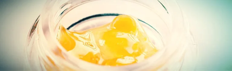 Read more about the article bho distillate